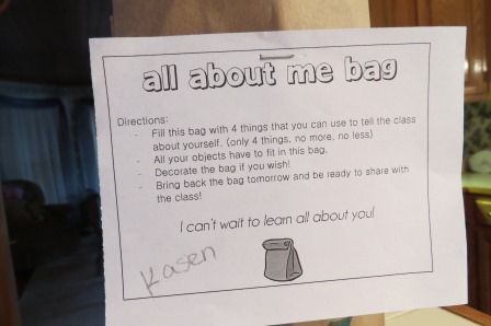 Kasen's All About Me bag